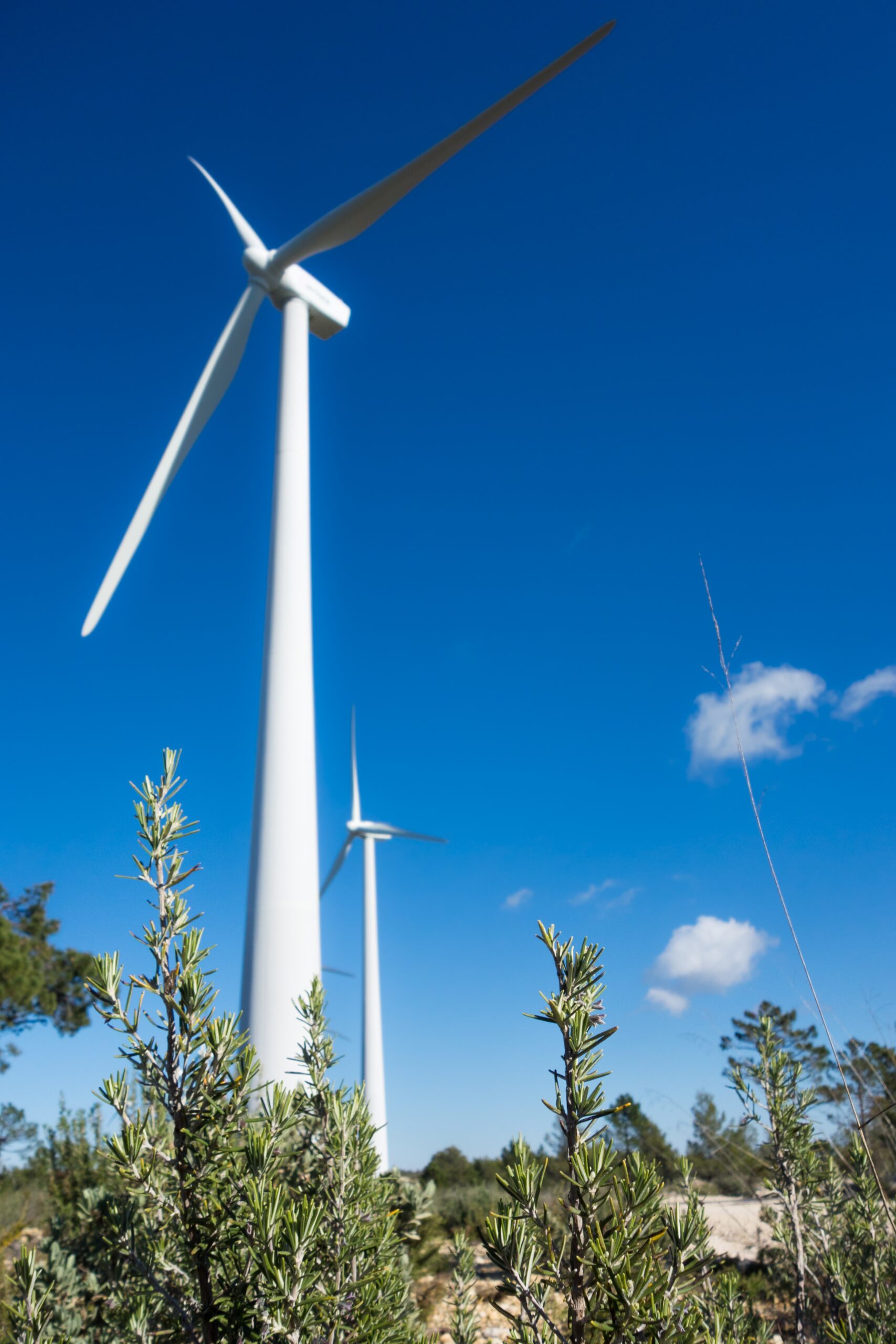 turbina eólica